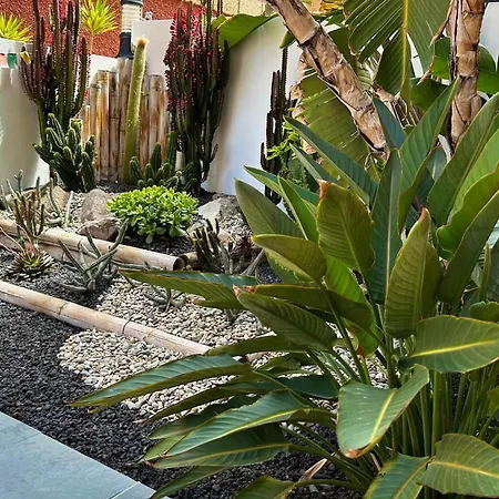 Roque-house Сasa de vacaciones Costa Adeje (Tenerife)